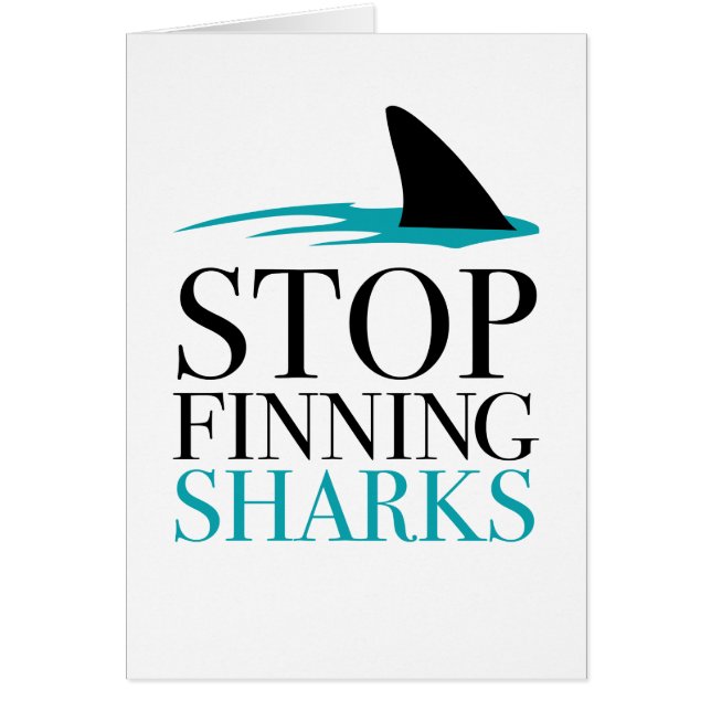 ARRÊTER LA RECHERCHE DES REQUINS (Devant)