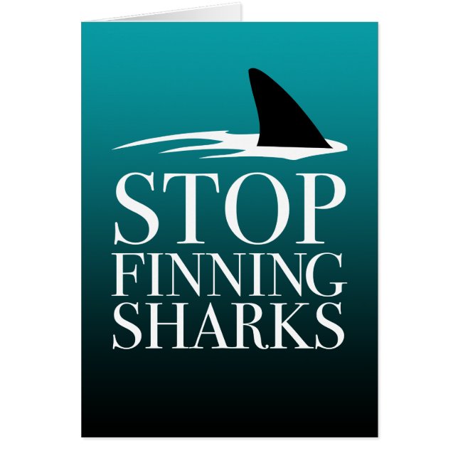 ARRÊTER LA RECHERCHE DES REQUINS (Devant)