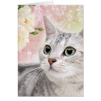 Arrêtez De Sentir Les Roses