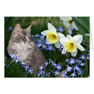 Arrêtez et sentez les fleurs