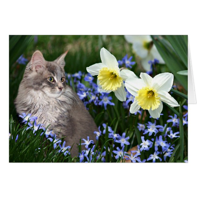 Arrêtez et sentez les fleurs (Devant horizontal)