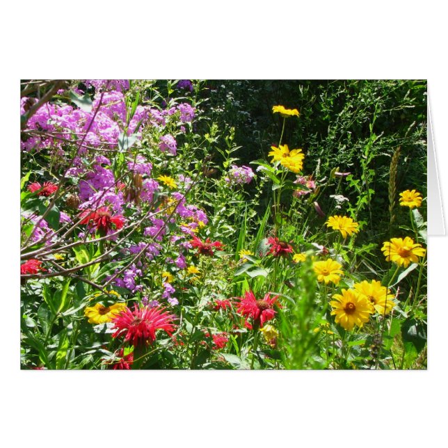 Arrière - plan du jardin de chalets (Devant horizontal)