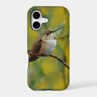 arrière - plan jaune colibri vert