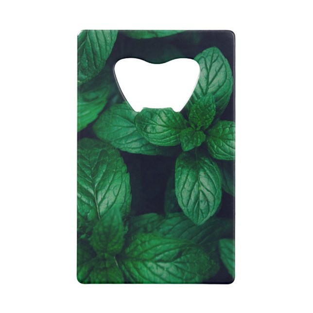Arrière - plan motif feuille vert Mint (Devant)