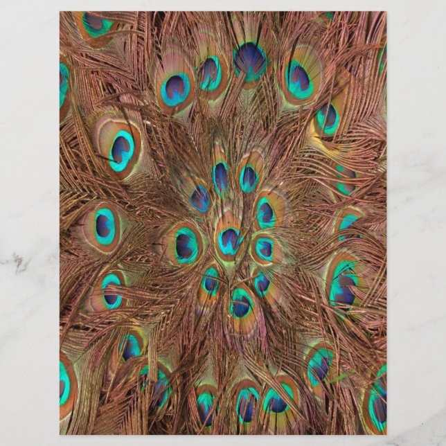 Arrière - plan motif Peacock (Devant)