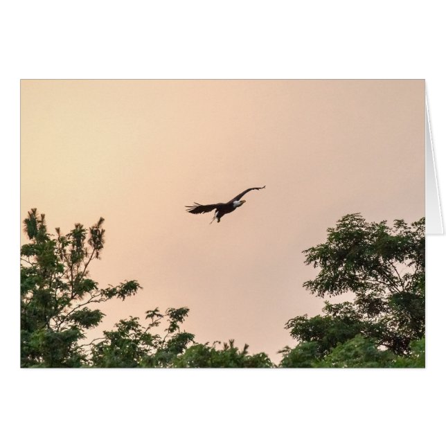 Arrivée du soir (Devant horizontal)