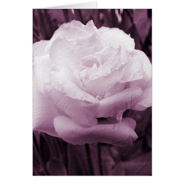 Art à fleurs violettes (Devant)