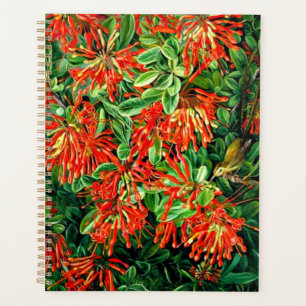 Art botanique : Burning Bush et Emu Wren du Chili