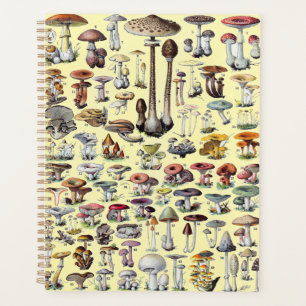 Art botanique cottagecore vintage champignon franç
