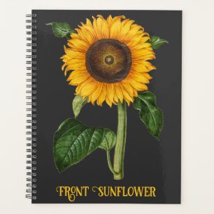 Art botanique du tournesol vintage par Merian