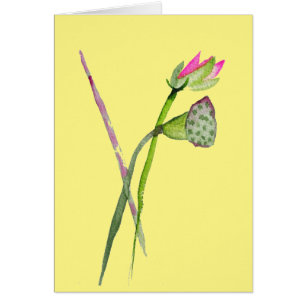 Art bouddhiste fleur de Lotus Zen rose