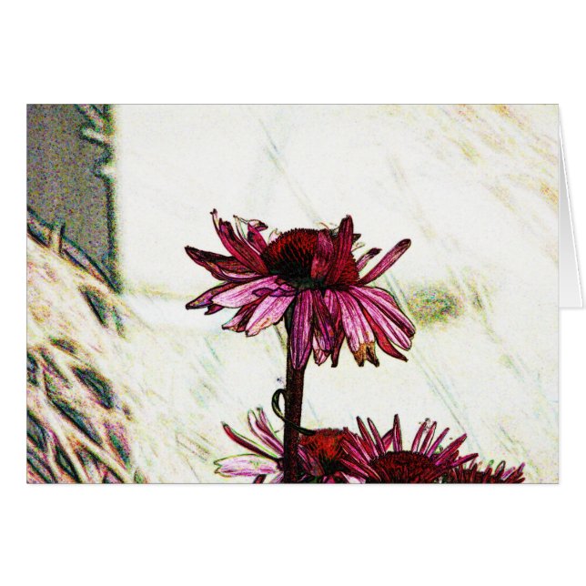 Art Coneflower (Devant horizontal)
