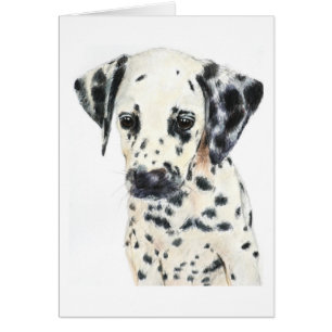 Art dalmatien de chien
