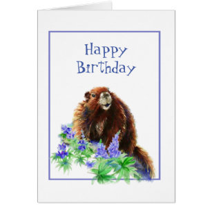 Cartes Marmotte D Anniversaire Zazzle Fr