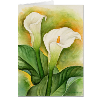 Art d'aquarelle de deux lis de Cala - multi