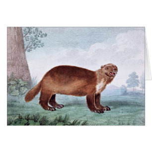 Art de cru de Wolverine