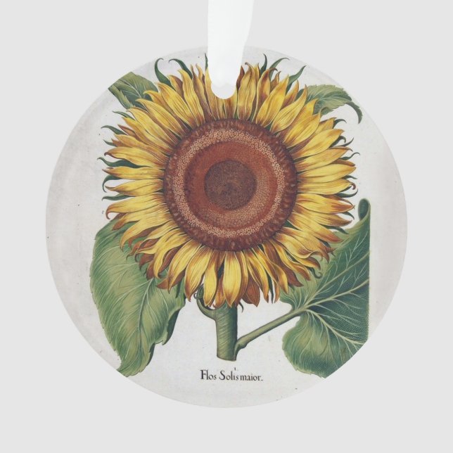 Art de fleur de damas vintage tournesol (devant)