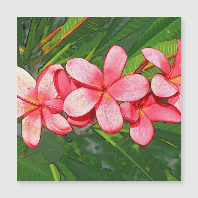 Art de Frangipanier Tropical Rose (Devant)