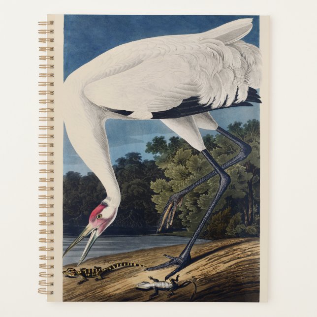 Art de la nature sur l'oiseau Grue de Whooping Aud (Devant)
