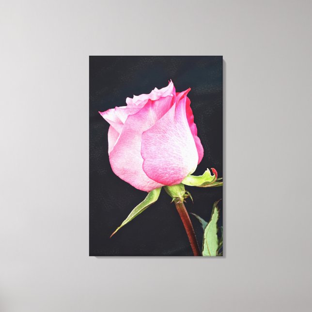 Art de la toile de Rose royale (Recto)
