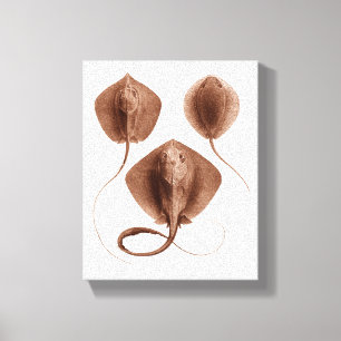 Art de mur de toile enveloppé par #1 de pastenagu