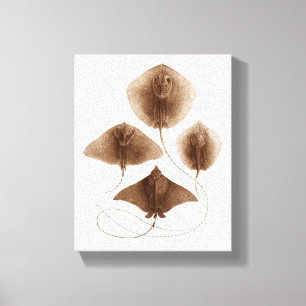 Art de mur de toile enveloppé par #2 de pastenagu