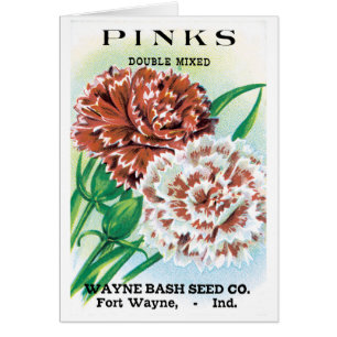 Art de pochette de graines vintage, fleurs d'œille