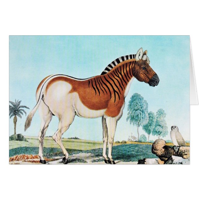 Art de Quagga d'aquarelle (zèbre) (Devant horizontal)