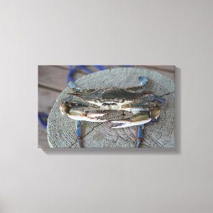 Art de toile de baie de chesapeake de crabe bleu