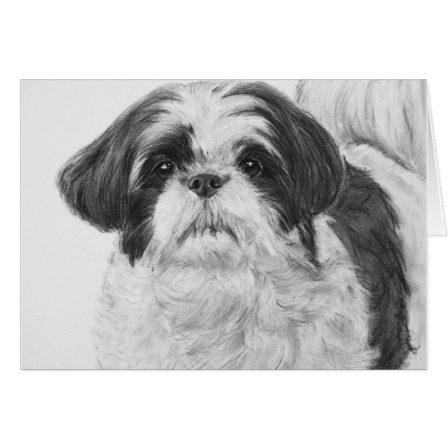 Art de Tzu Shih noir et blanc (Devant horizontal)