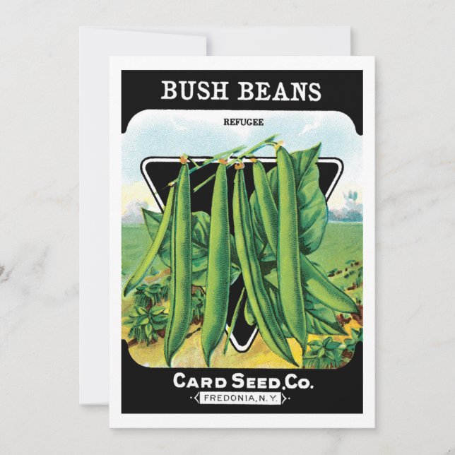 Art d'étiquette de pochette de graines vintage, lé (Devant)