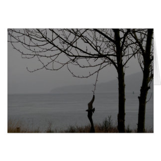 Art et arbre d'oiseau