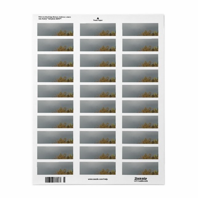 ART ET DESIGN ÉTIQUETTE DE ADRESSE (Feuille entière)
