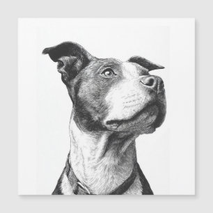 Art minimaliste Pitbull noir et blanc