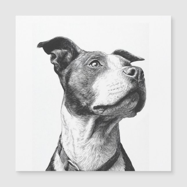 Art minimaliste Pitbull noir et blanc (Devant)