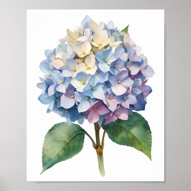 Art mural botanique à l'aquarelle Hydrangea bleue (Devant)