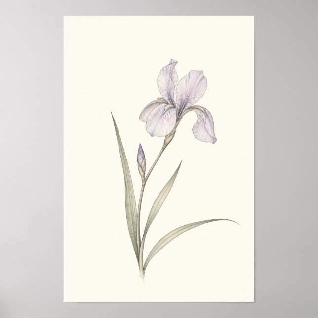 Art mural botanique Iris Violet Minimaliste (Devant)