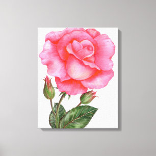 Art mural botanique Rose rose florale Fleur