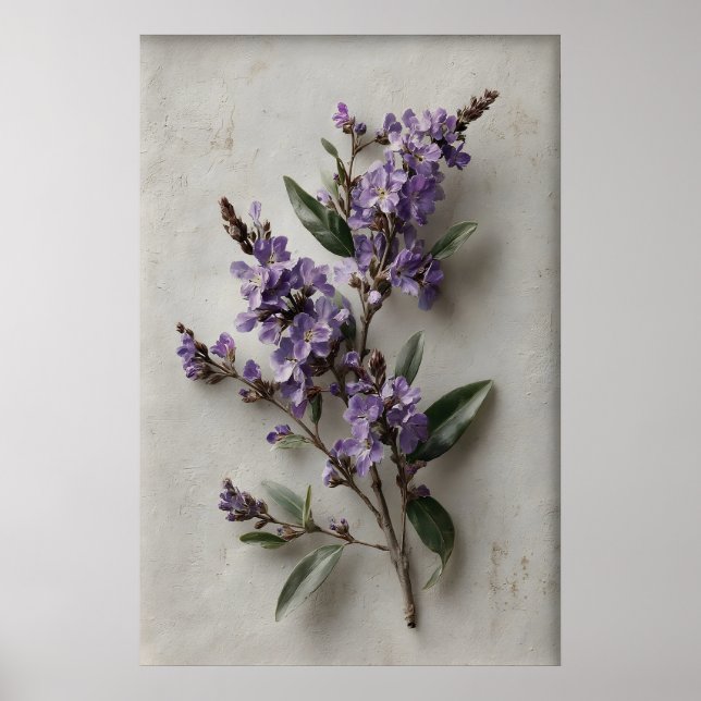 Art mural Dampiera imprimable, Fleur Antique Print (Devant)