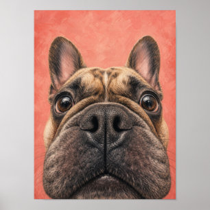 Art mural de Bouledogue français — Gros plan drôle