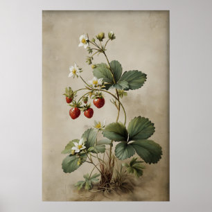 Art mural de fraise imprimable, Antique
