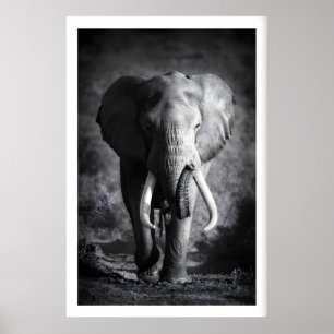 Art mural d'éléphant Minimaliste Noir & Blanc