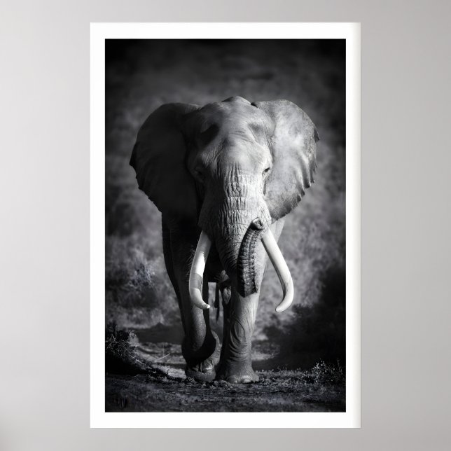 Art mural d'éléphant Minimaliste Noir & Blanc (Devant)