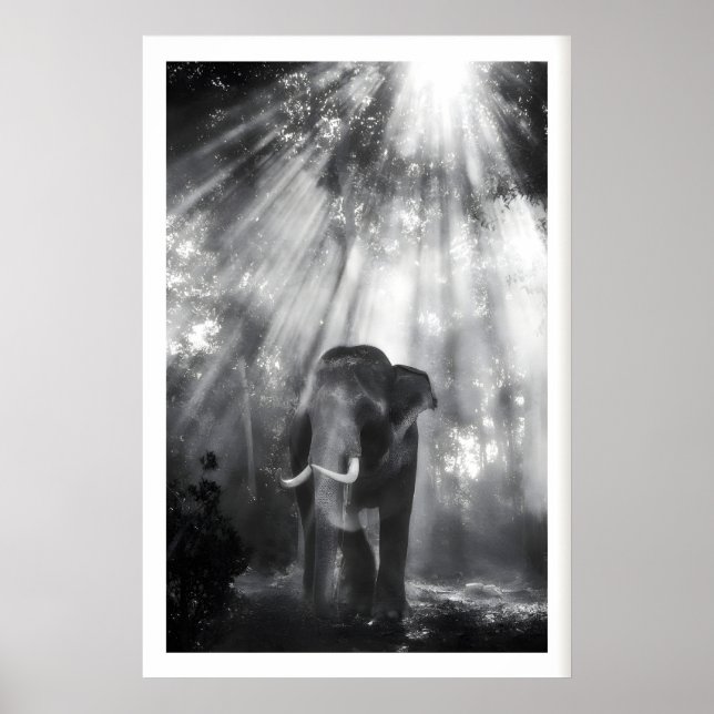 Art mural éléphant monochrome, Photo de nature (Vi (Devant)
