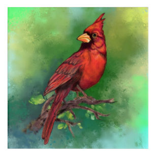 Art Mural En Acrylique Belle peinture d'oiseaux du Cardinal rouge du Nord