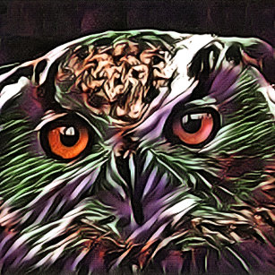 ART MURAL EN ACRYLIQUE COUPER OWL