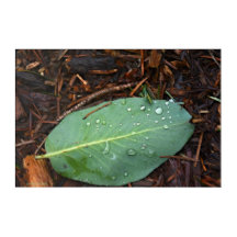 Découpe feuilletée