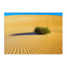 GRANDES DUNES OCÉAN 10x14