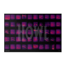 Howl : Le langage secret des loups