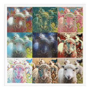 Art Mural En Acrylique Moutons avec filtres Collage